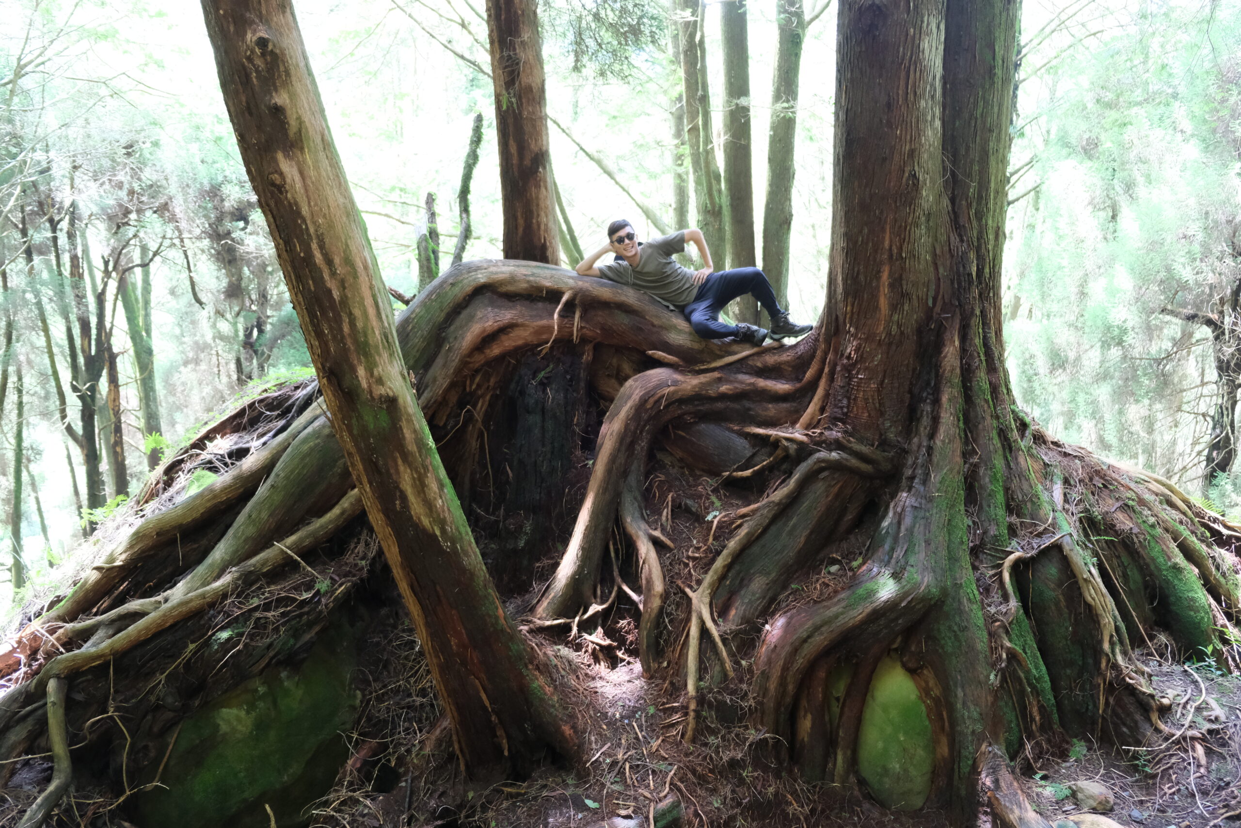 58C7E6A3-B882-4C69-9066-6AFA60545F72-31339-00000D1B9792F0EE